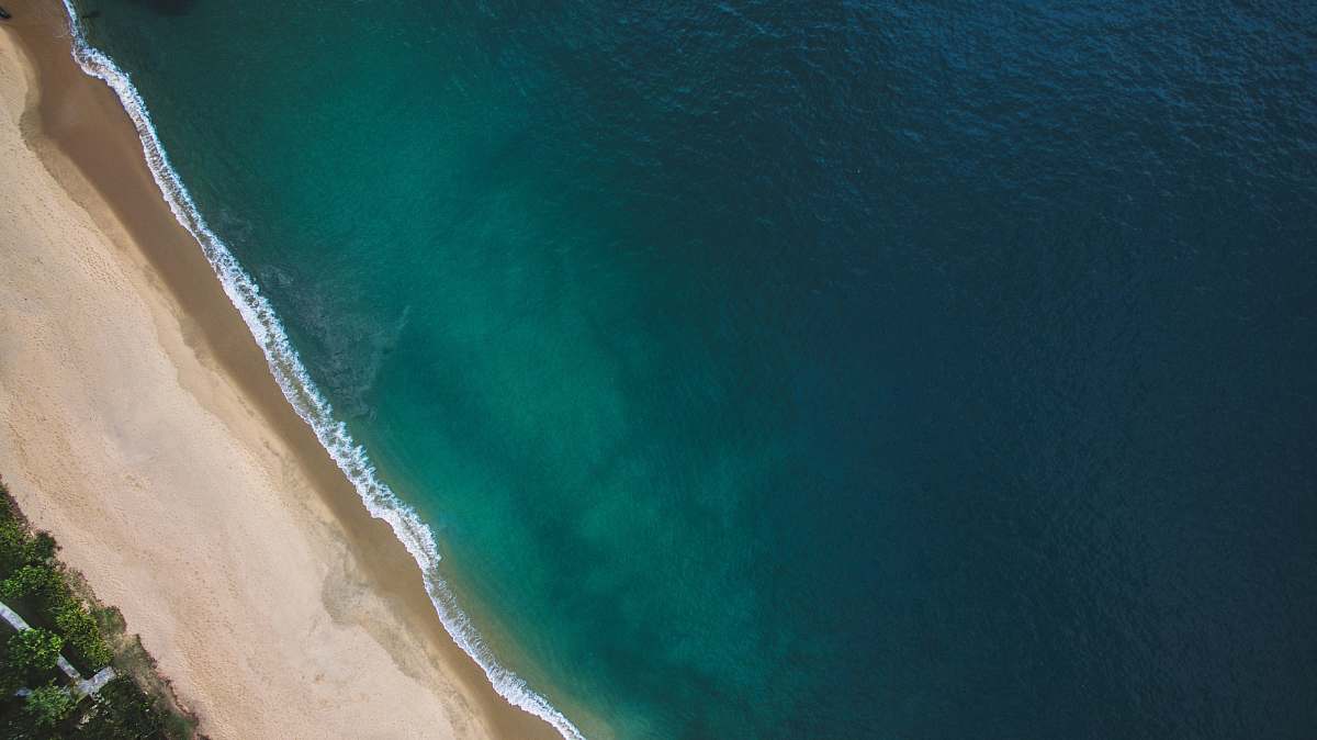 beach aerial view of beach and trees sea