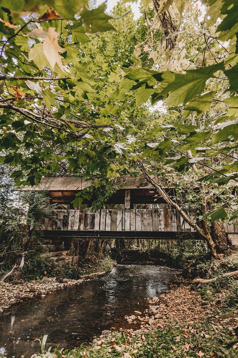 outdoors brown bridge near green-leafed trees wood house