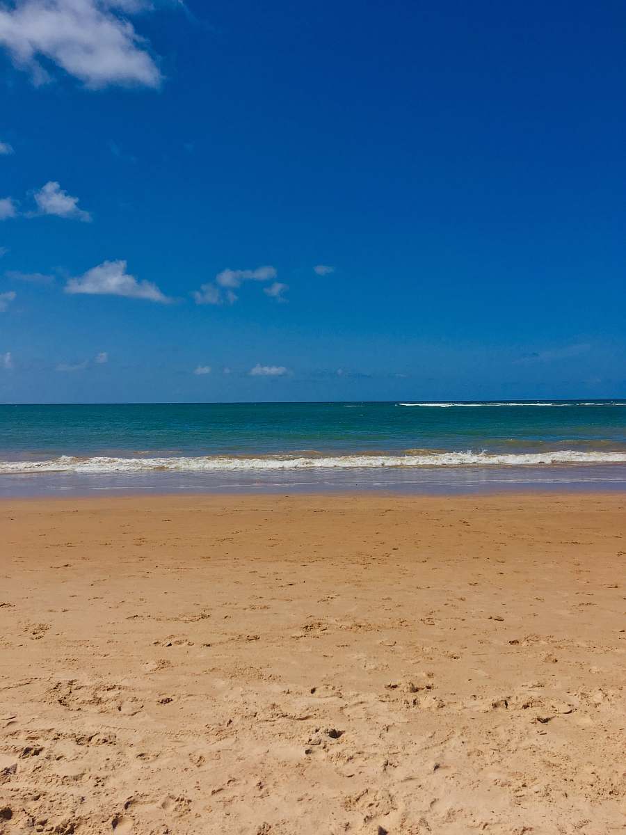 ocean blue sea under blue sky during daytime nature