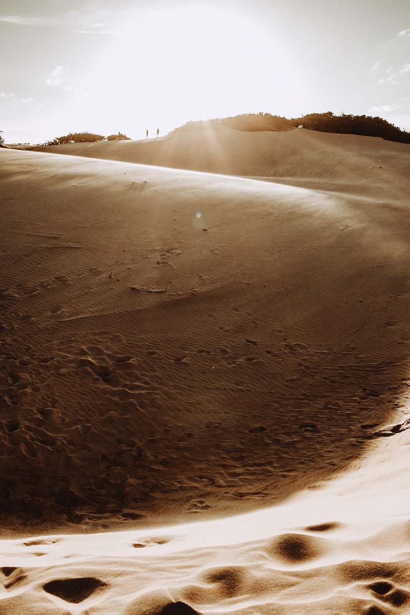 nature desert at dusk sand