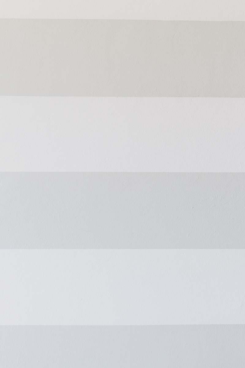 grey  struisbaai
