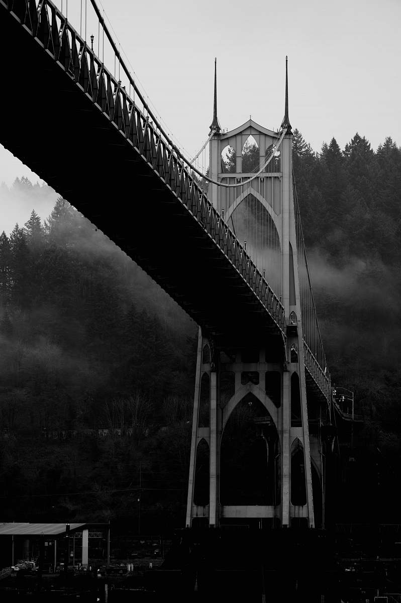 building grayscale photo of bridge in forest bridge
