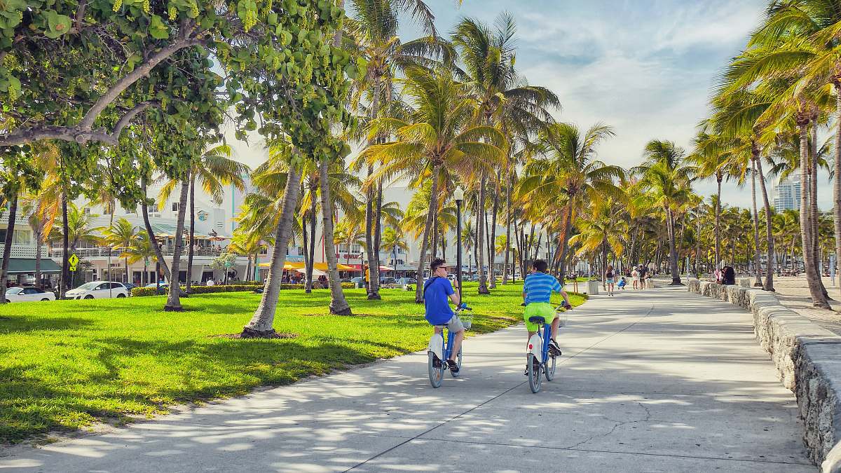 bicycle boy riding gray bikes bike