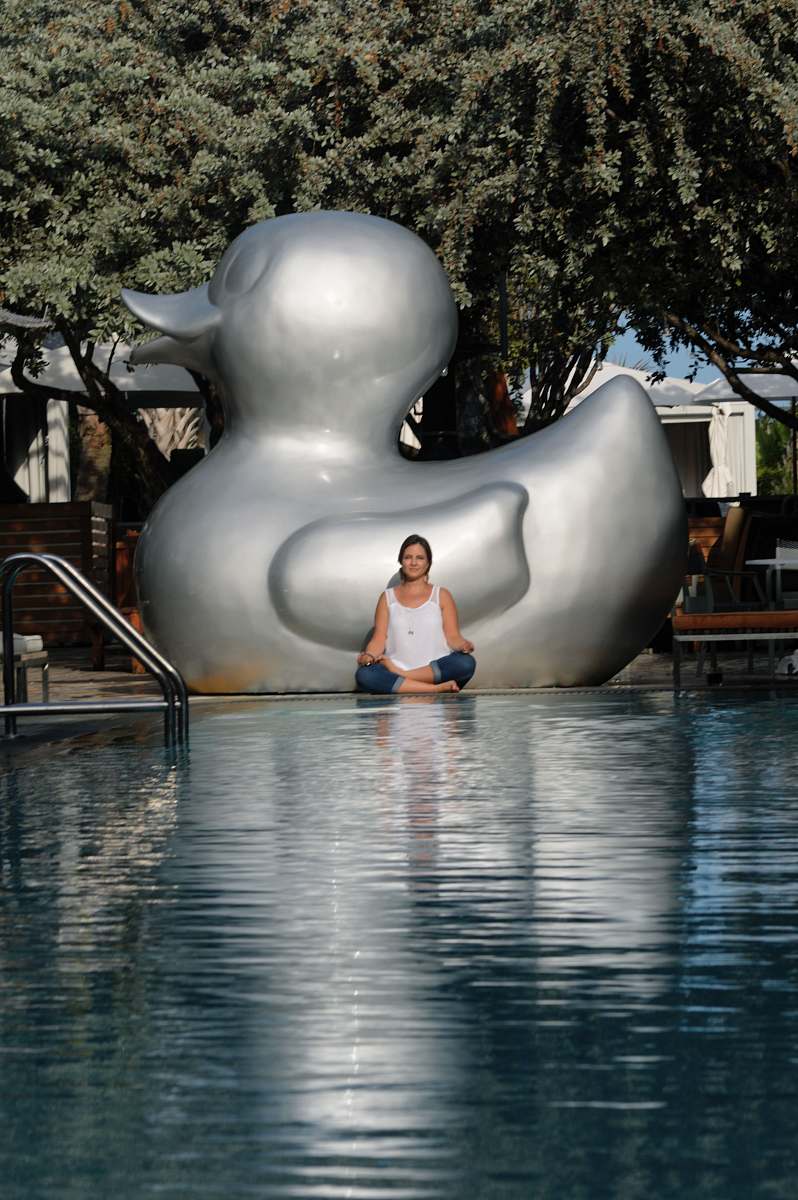 person white and orange duck statue on water water