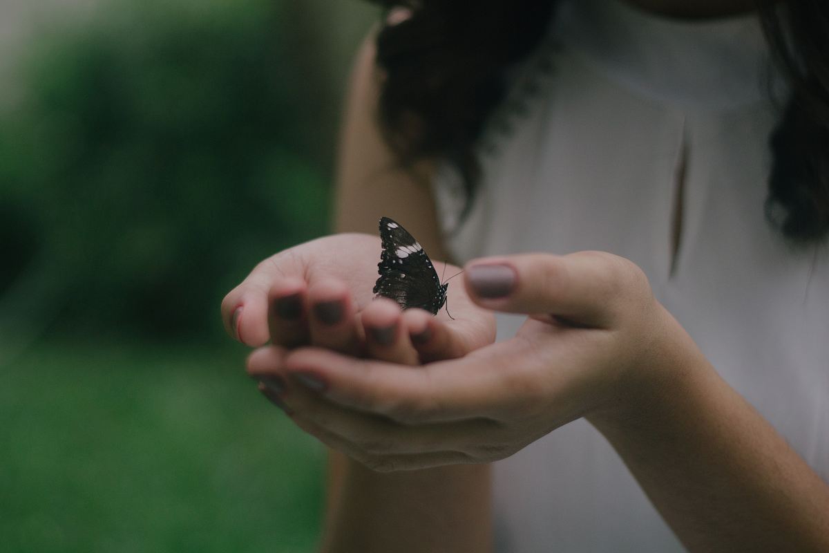 black butterfly on woman's palm