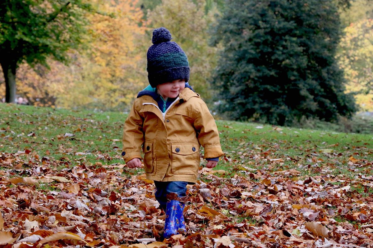 boy wearing orange bubble jacket walking on dry fallen leaves on ground