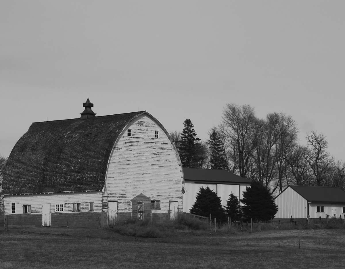 outdoors grayscale photo of a barn in the middle of a field nature