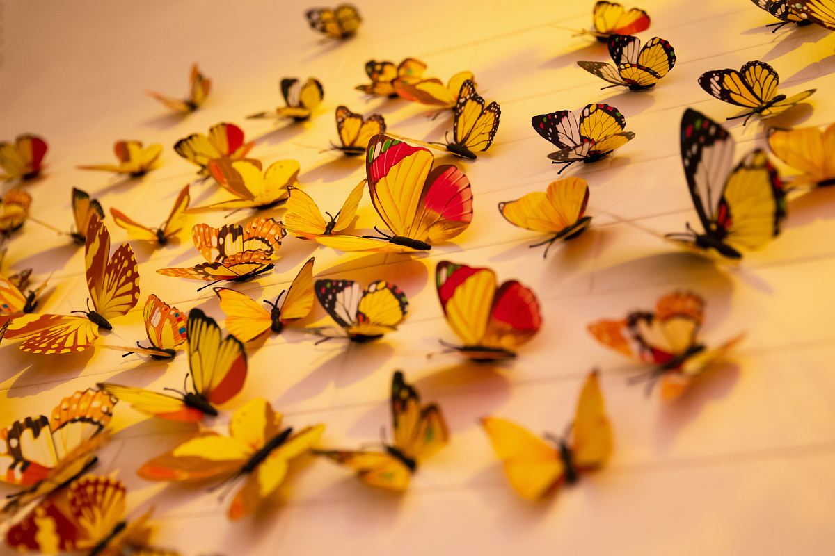 close-up photography of assorted-color butterflies
