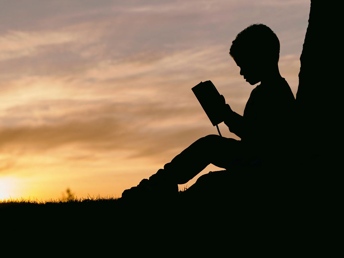 silhouette of child sitting behind tree during sunset