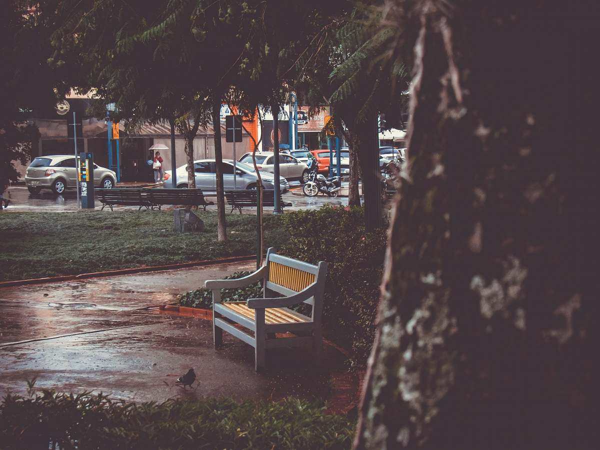 bench bench on park chair