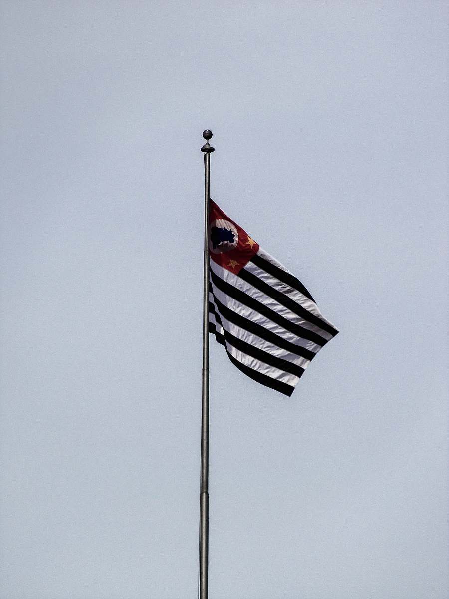 flag black and white striped flag emblem