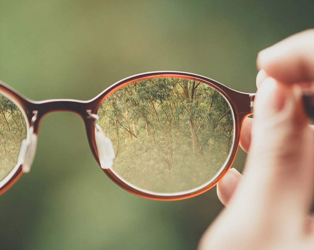 glasses person holding brown eyeglasses with green trees background state of são paulo