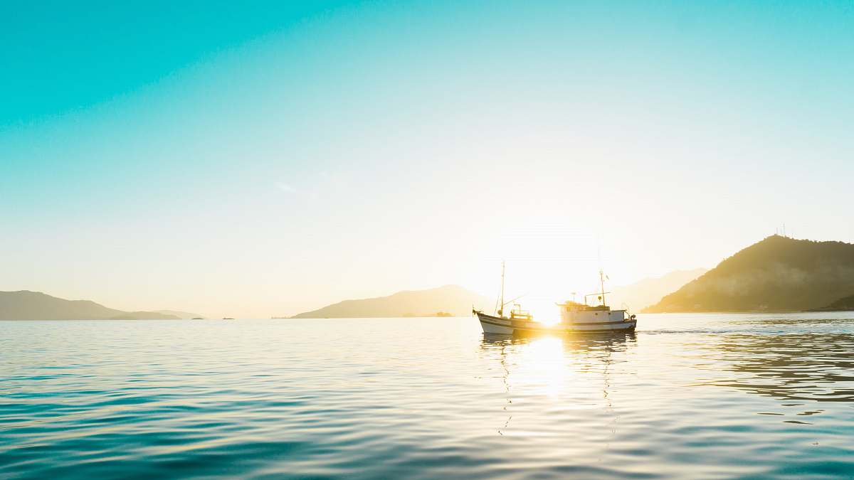 sea two white boats on body of water boat