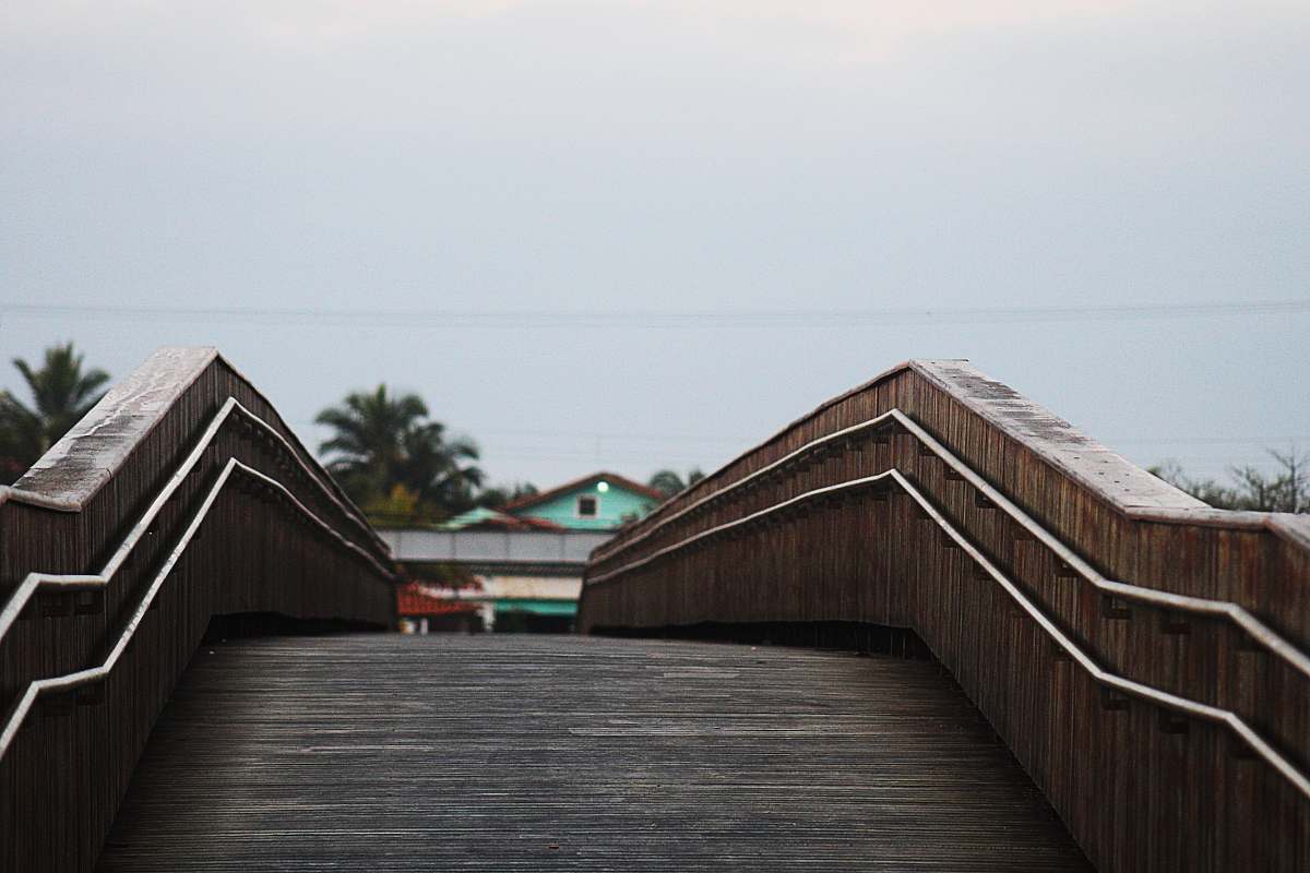 jar brown wooden bridge during daytime plant