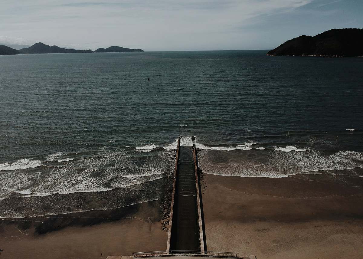 water black plank walkway beside body of water nature
