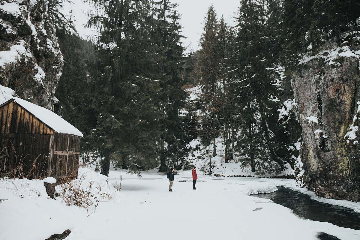 tree people standing on snowfield gârda de sus