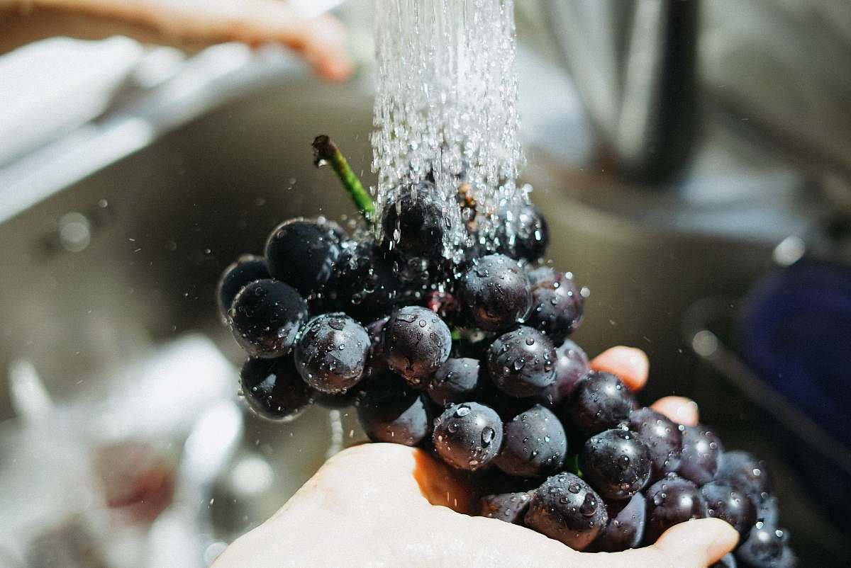 food person washing purple grapes produce