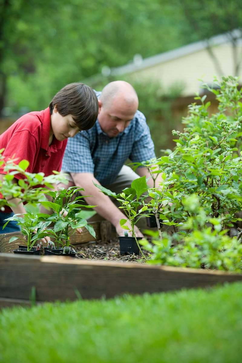 outdoors boy in blue and white checkered button up shirt holding green plant garden