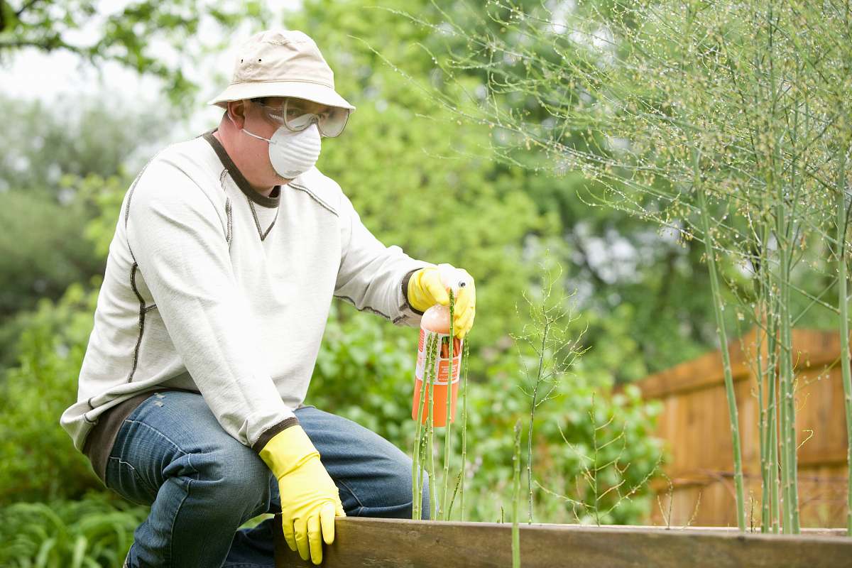 human man in white long sleeve shirt and blue denim jeans sitting on brown wooden fence during outdoors