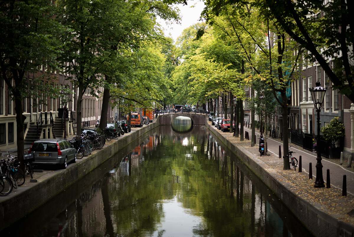 canal view of concrete bridge surrounded by trees water
