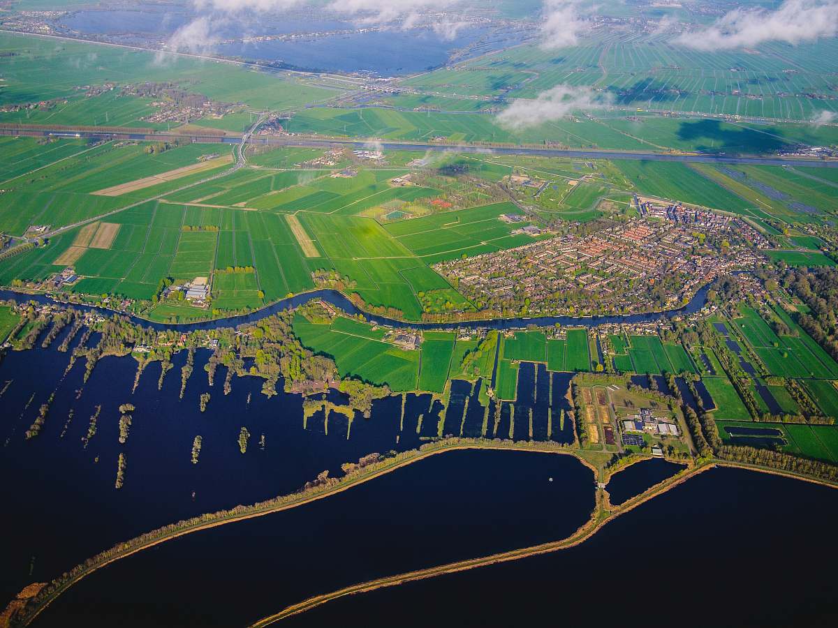 nature aerial view of green field aerial view