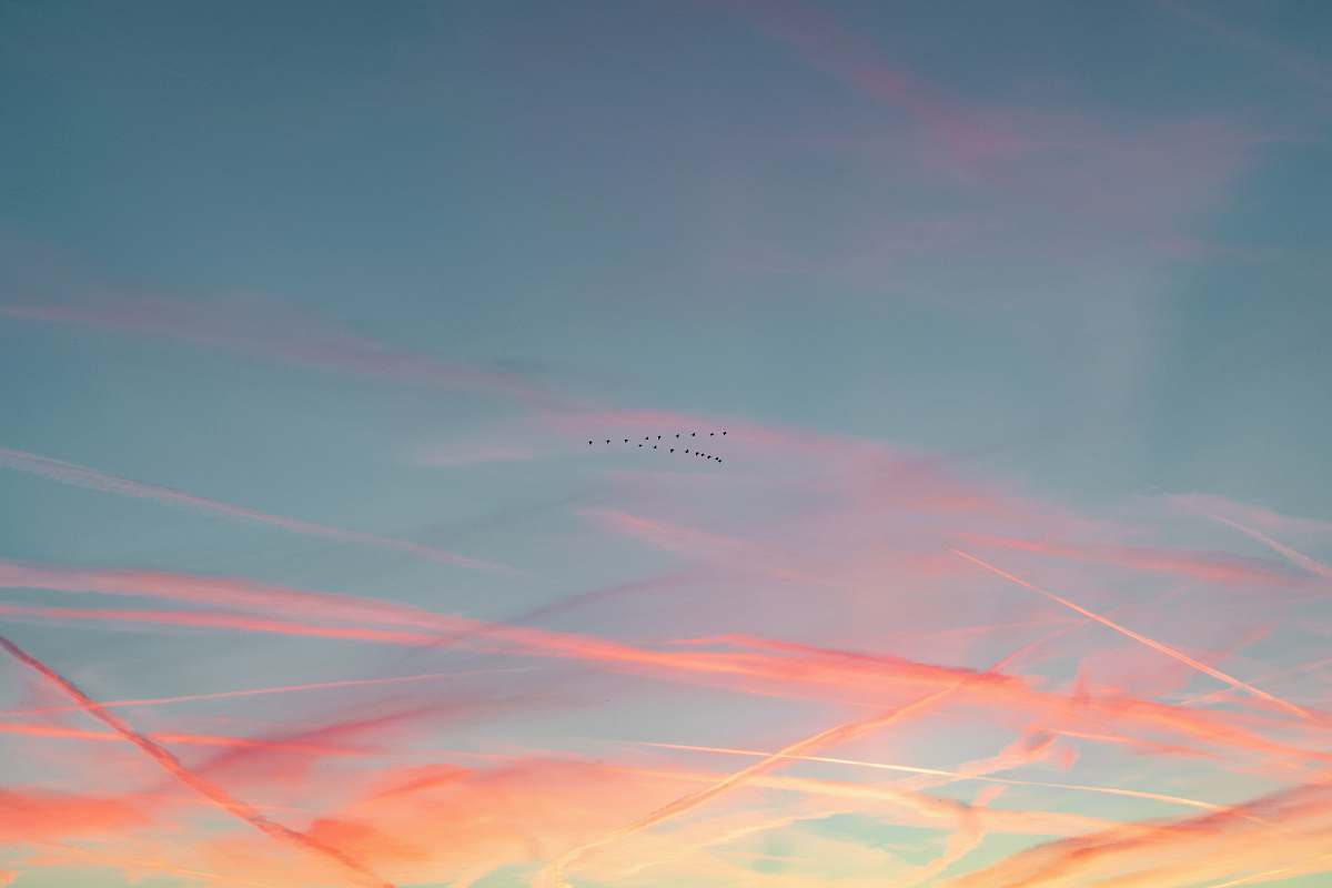 outdoors orange and blue sky during sunset sky