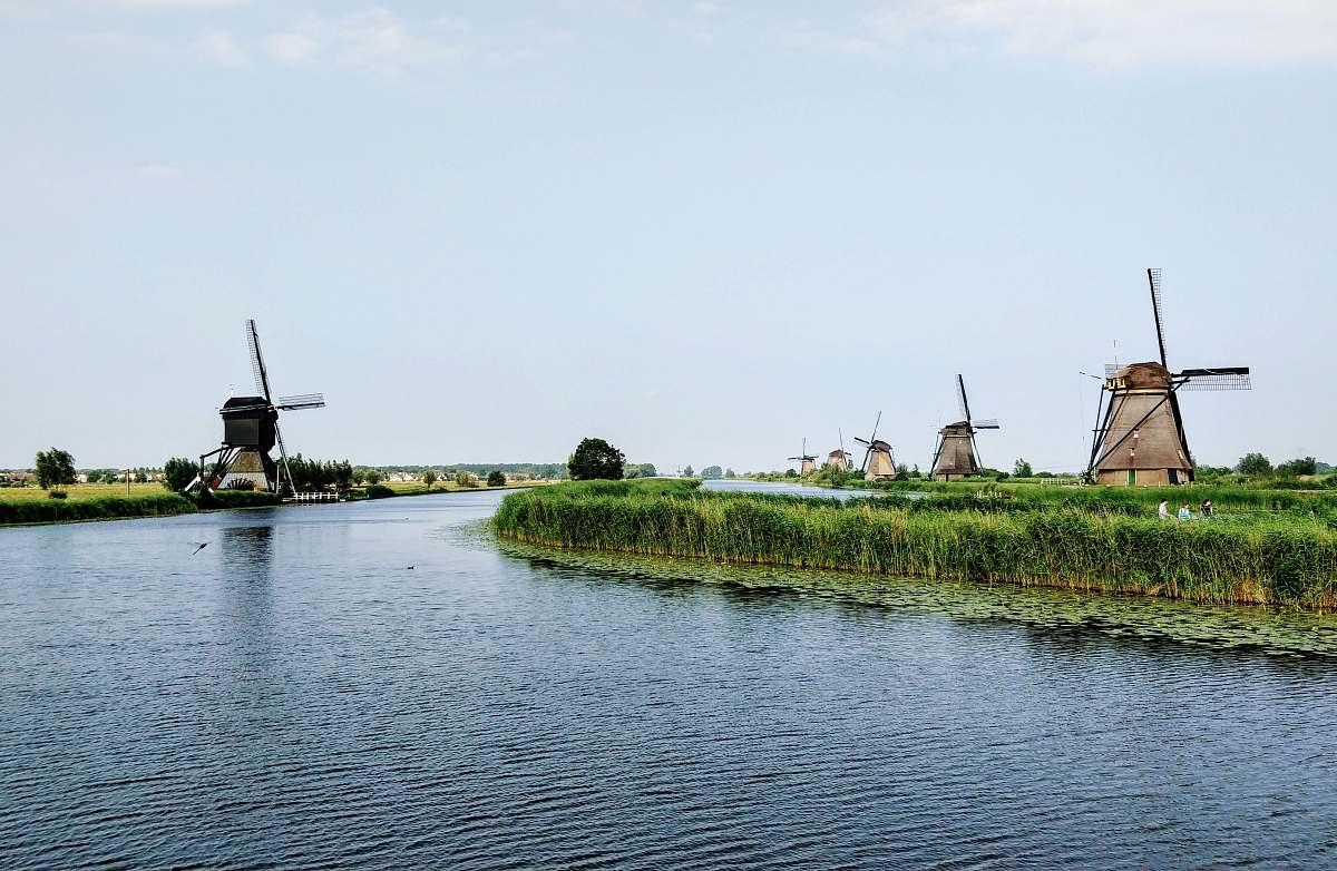 water body of water beside green trees and wind mills nature