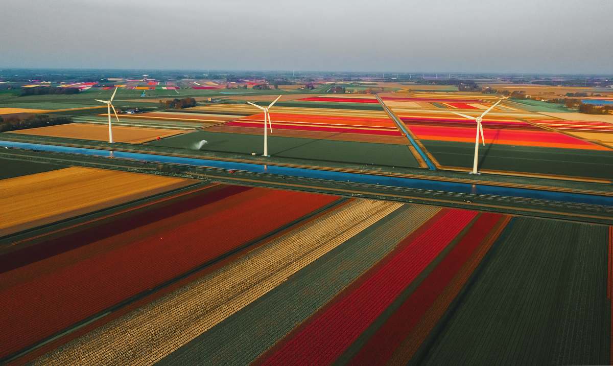 landscape three white wind turbines nature