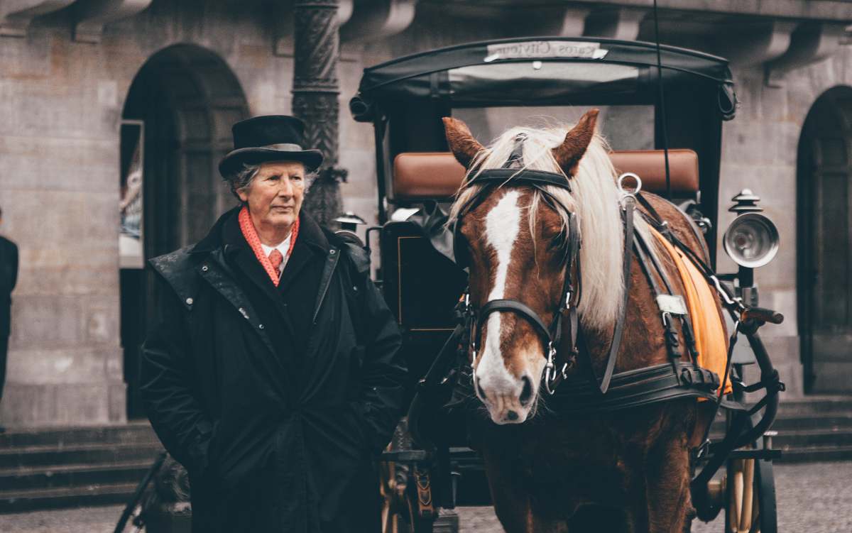 human person standing beside a brown carriage people