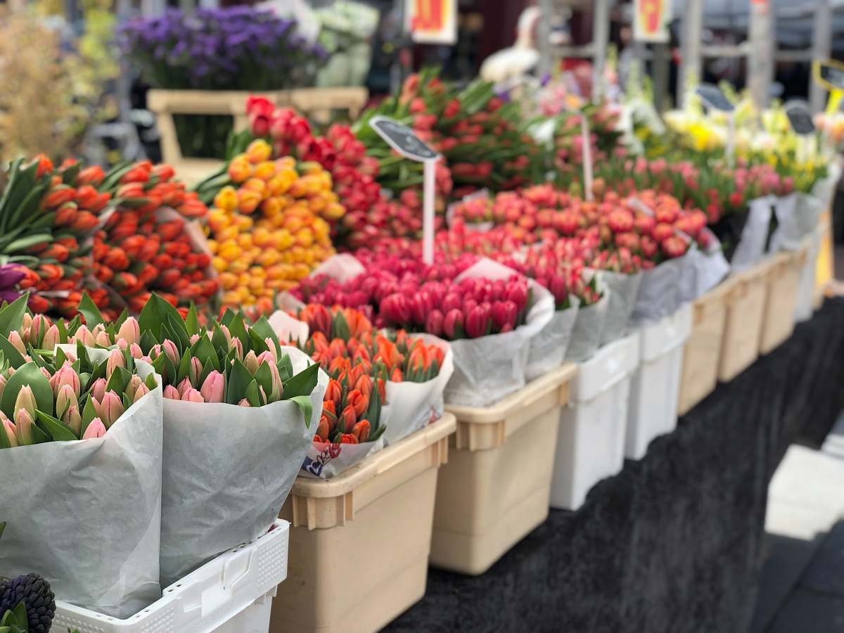 market assorted flowers in container on display blossom