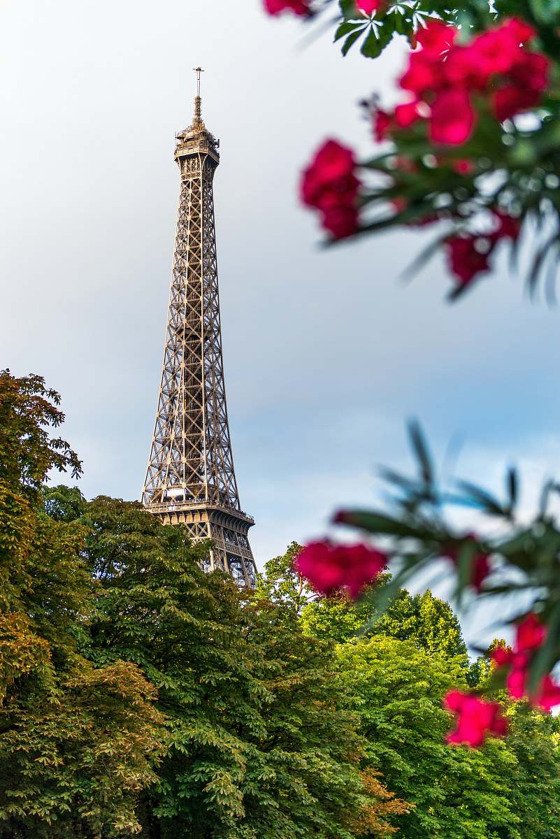 tower red flowers paris