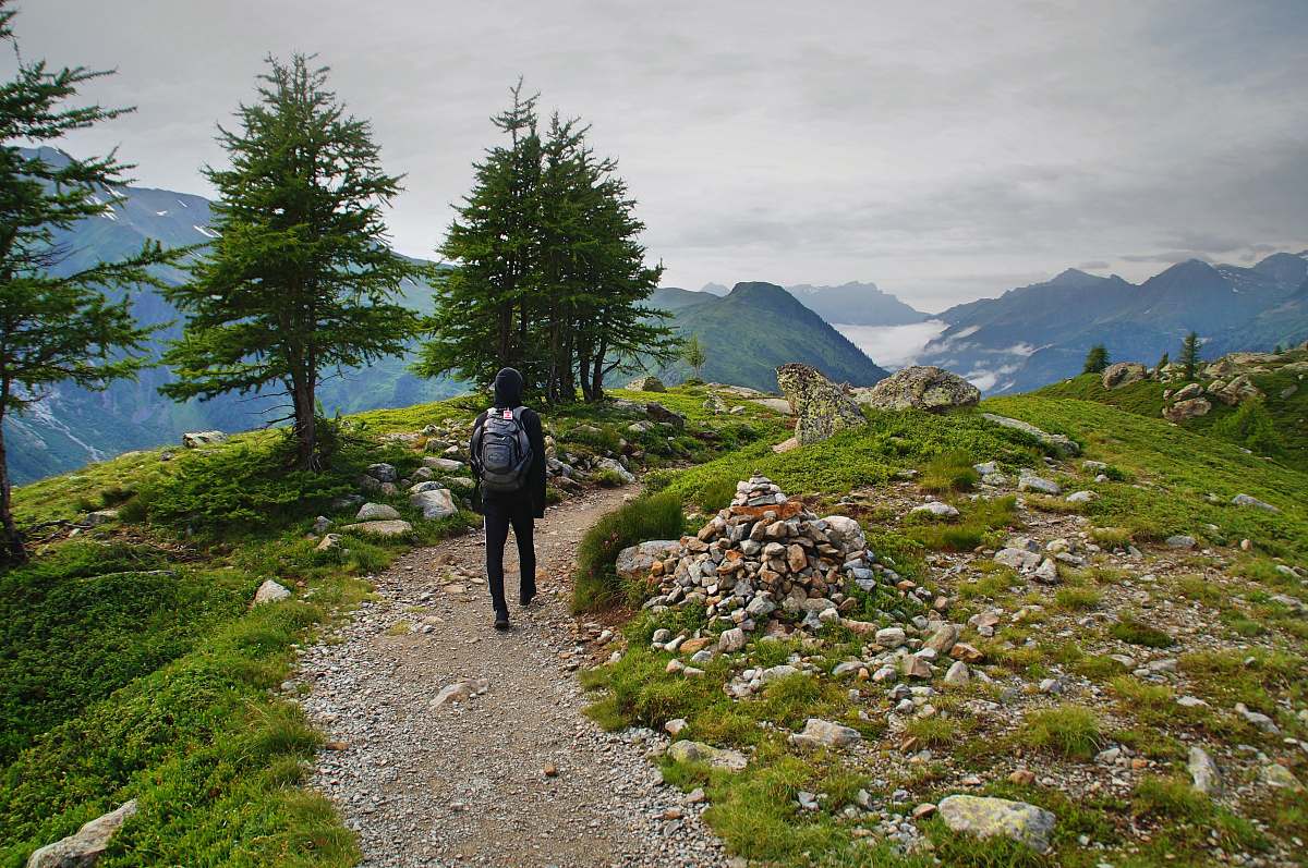 tree person wearing black leather backpack walking beside green leaf tree person