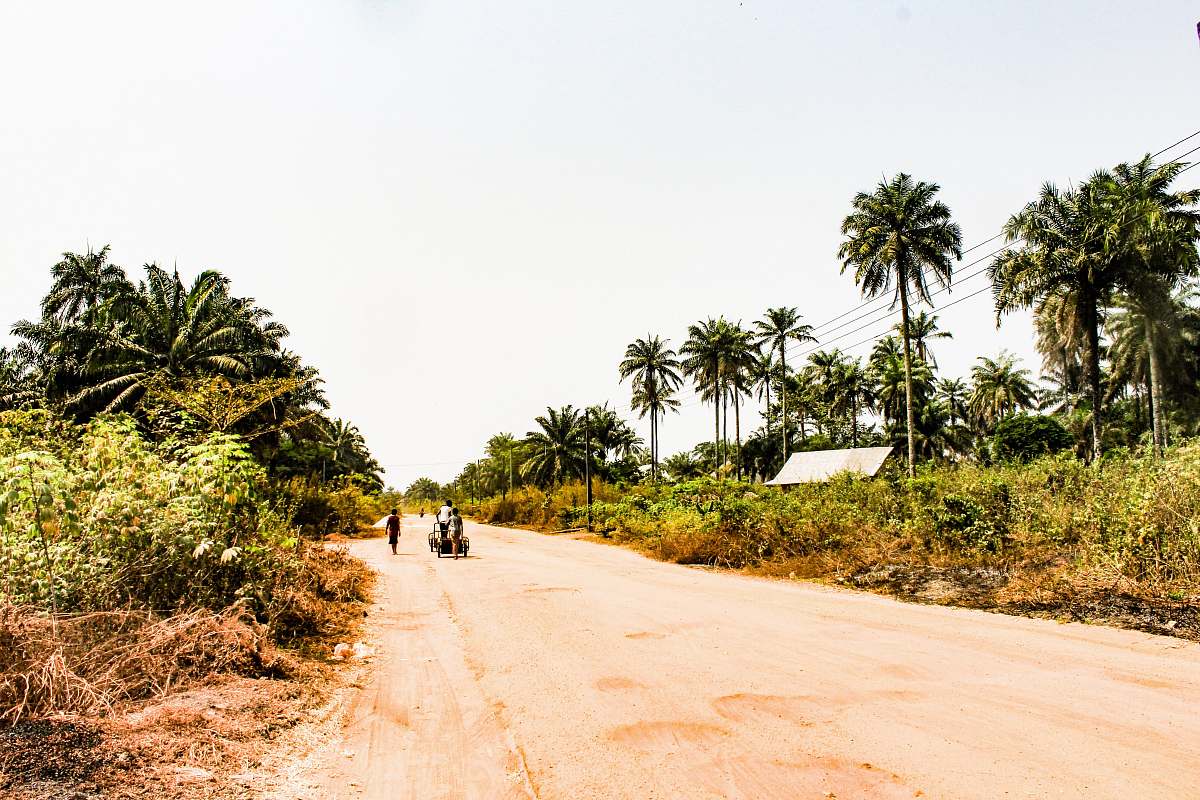 nature few people on road beside trees and green field under white skies road
