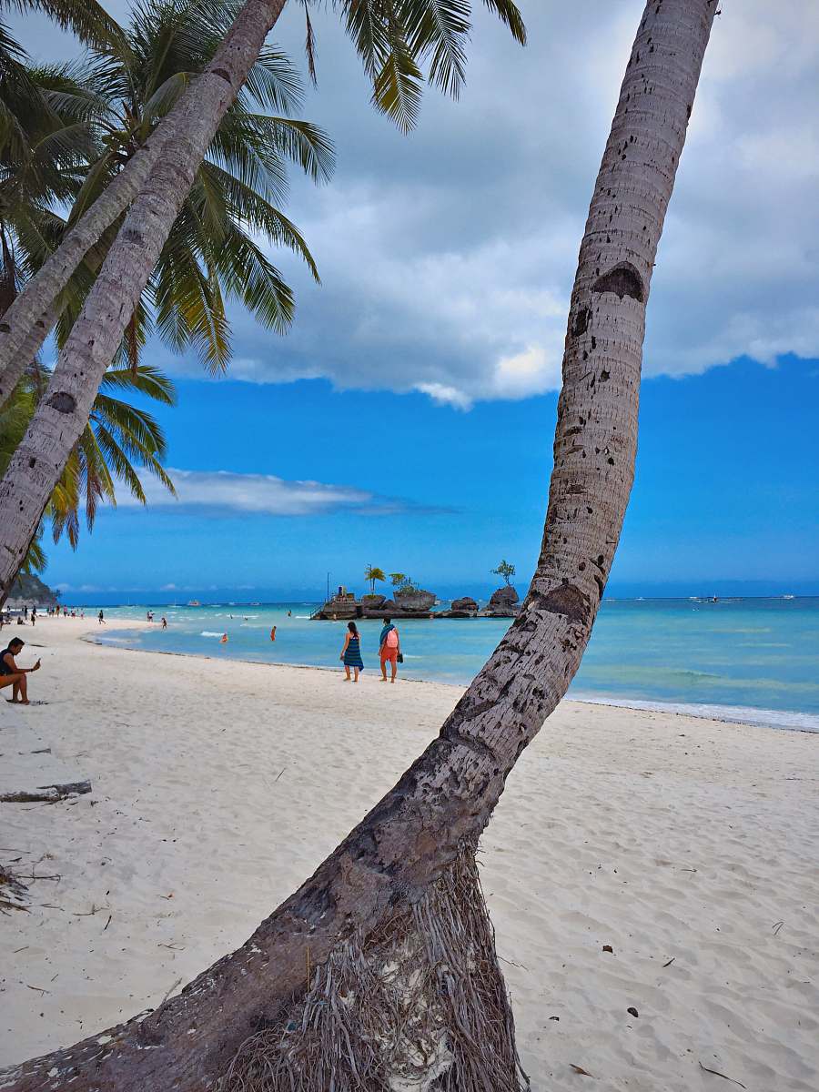 human people on beach during daytime person