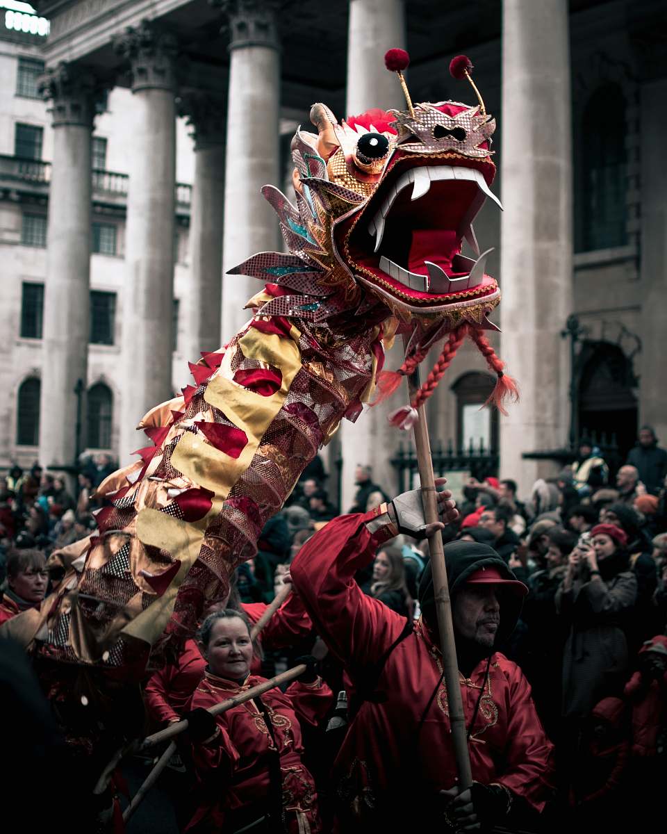 festival group of people performing lion dance human