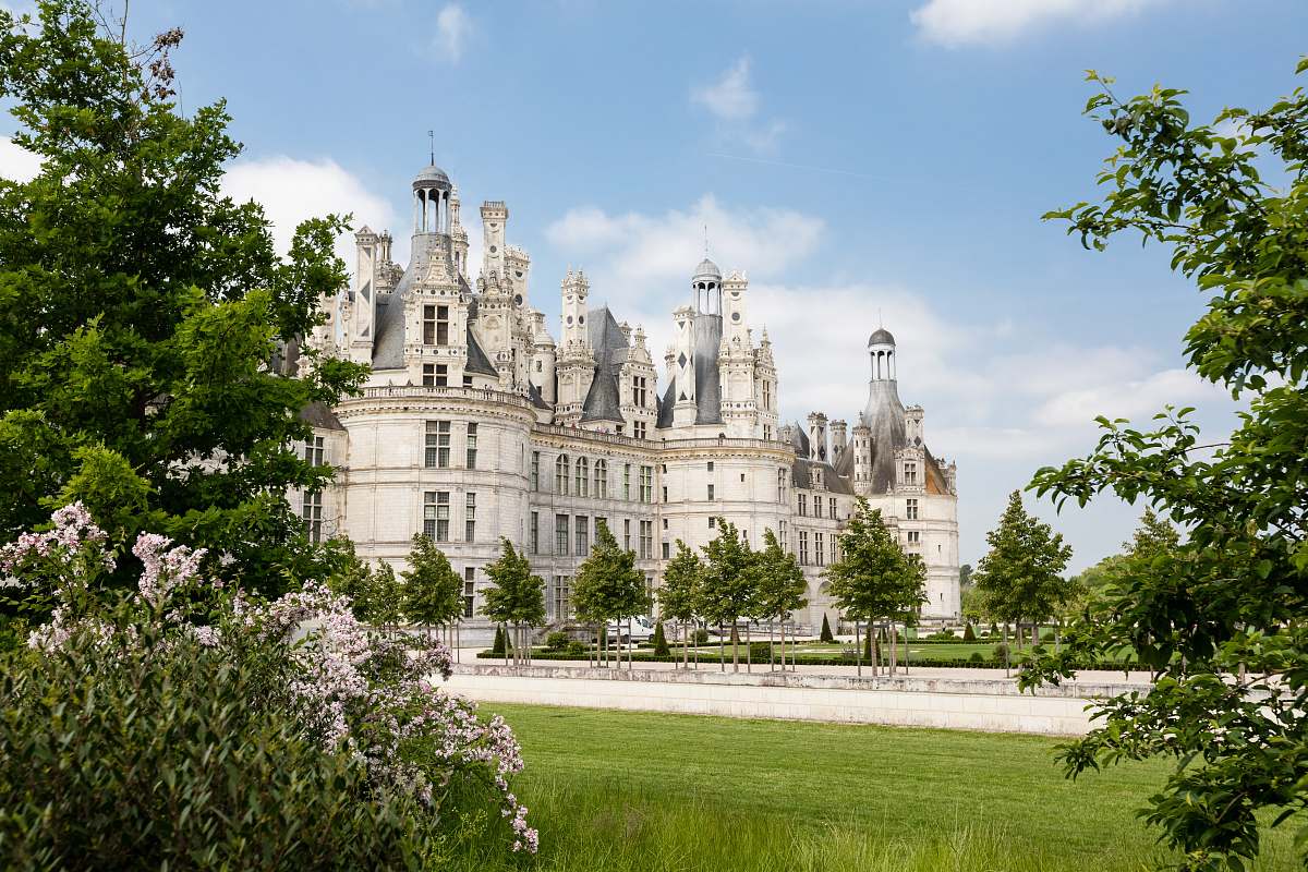 castle white building near trees building