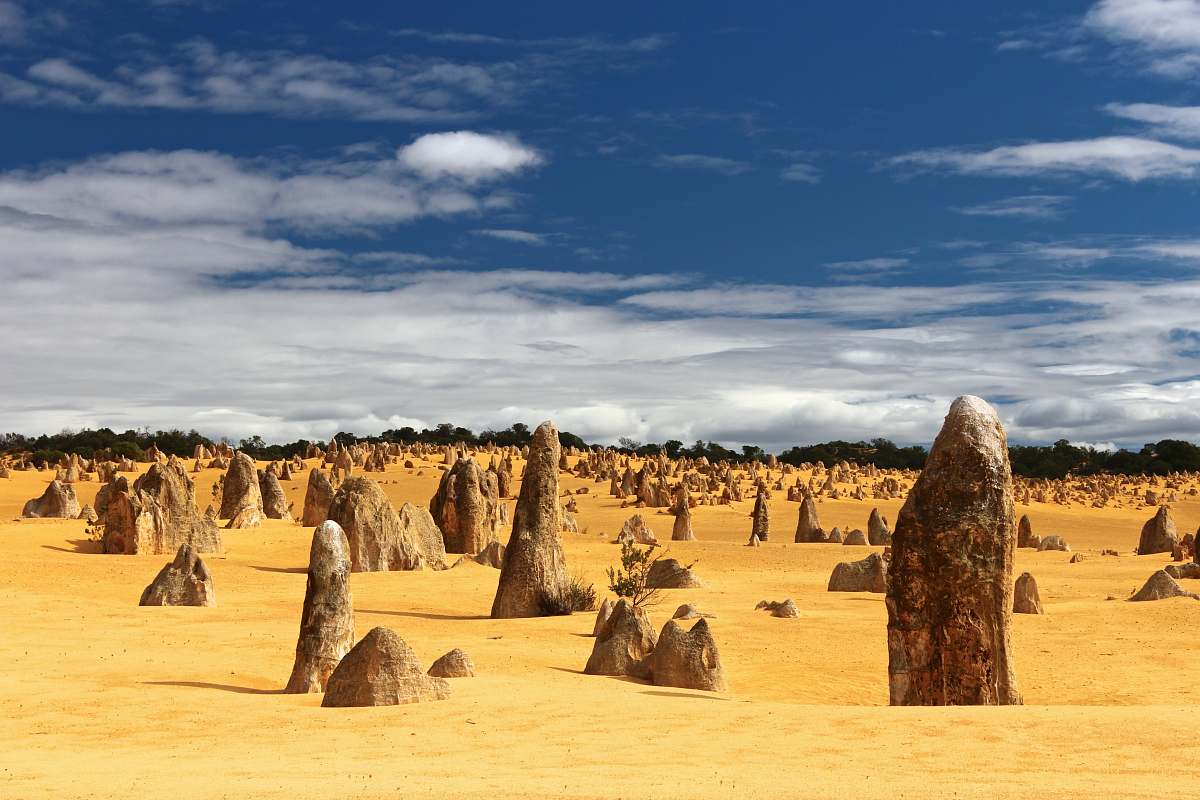 desert field of rocks sand
