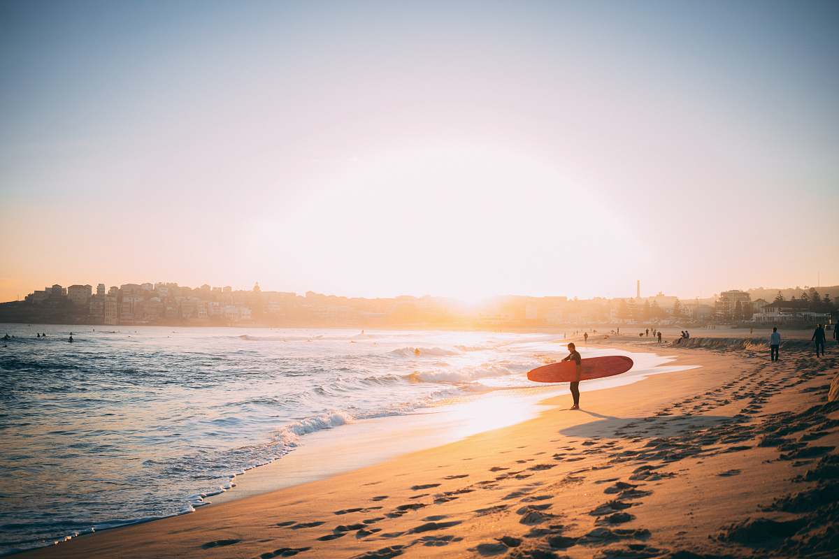 sea person carrying surfboard at the beach ocean