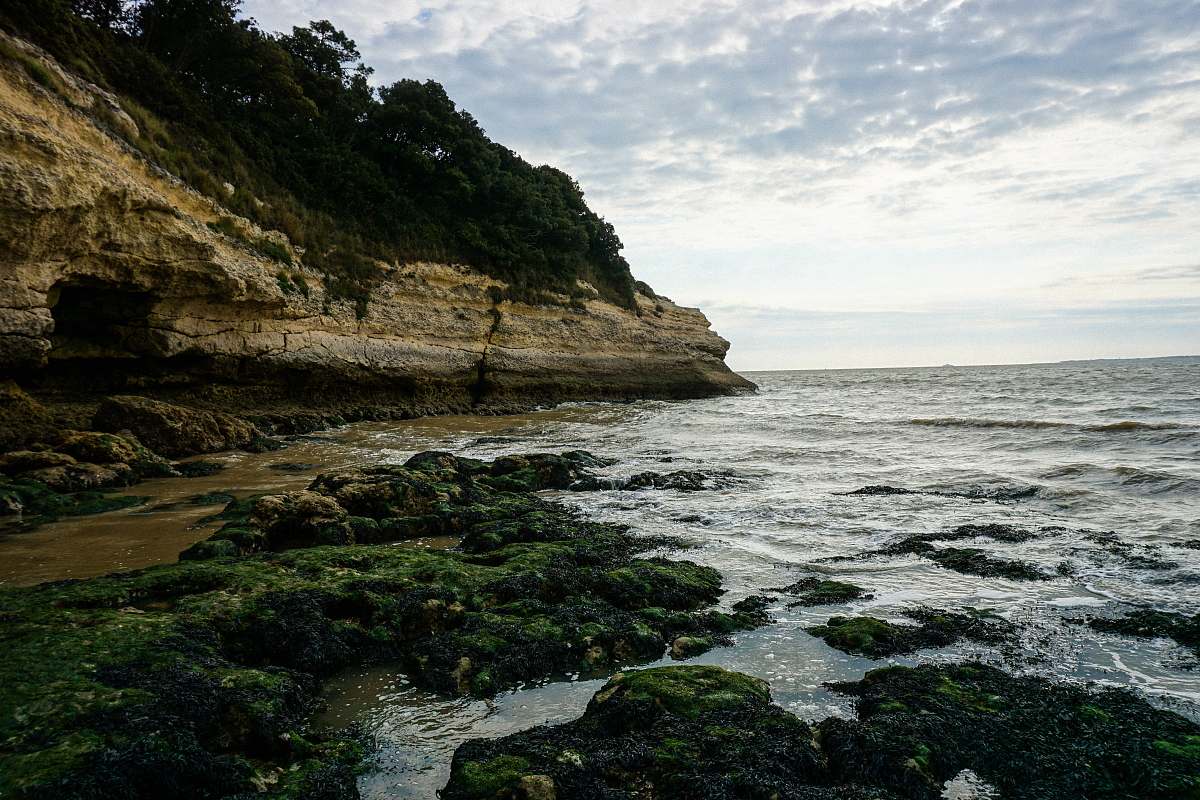 promontory body of water near mountain plant