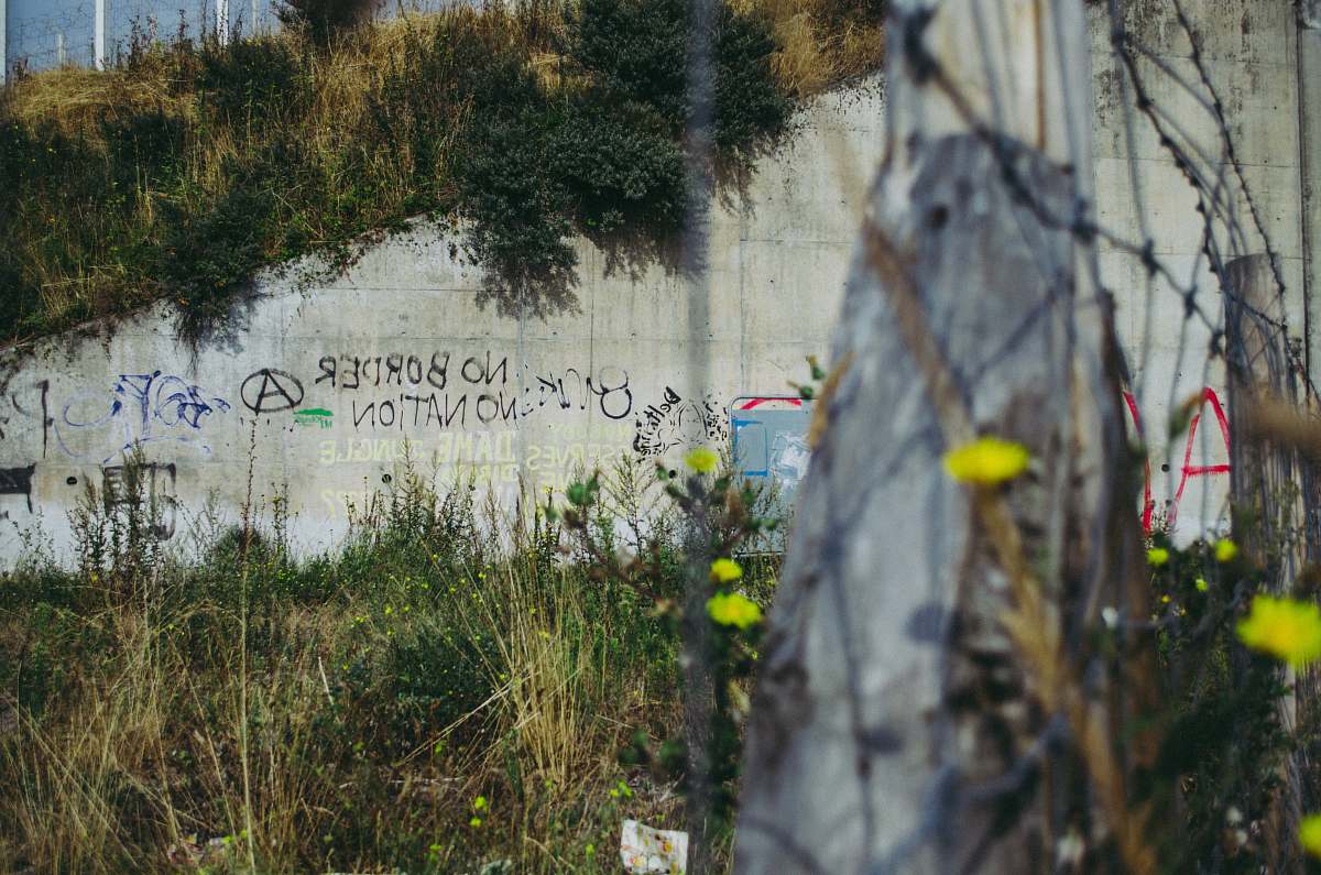 calais gray concrete wall beside grass algae