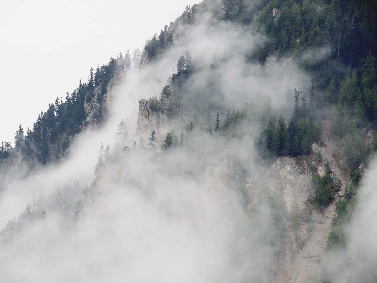 fog landscape photography of green mountain savoie