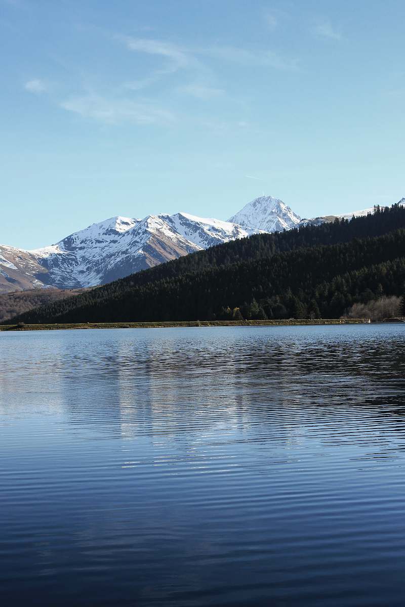 outdoors lake in forest water