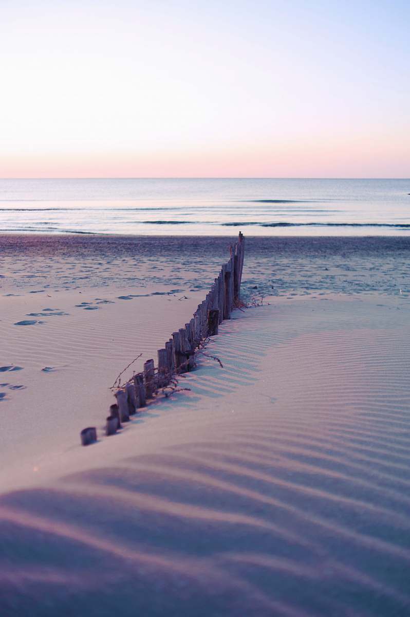 water brown wooden fence on seashore at daytime nature