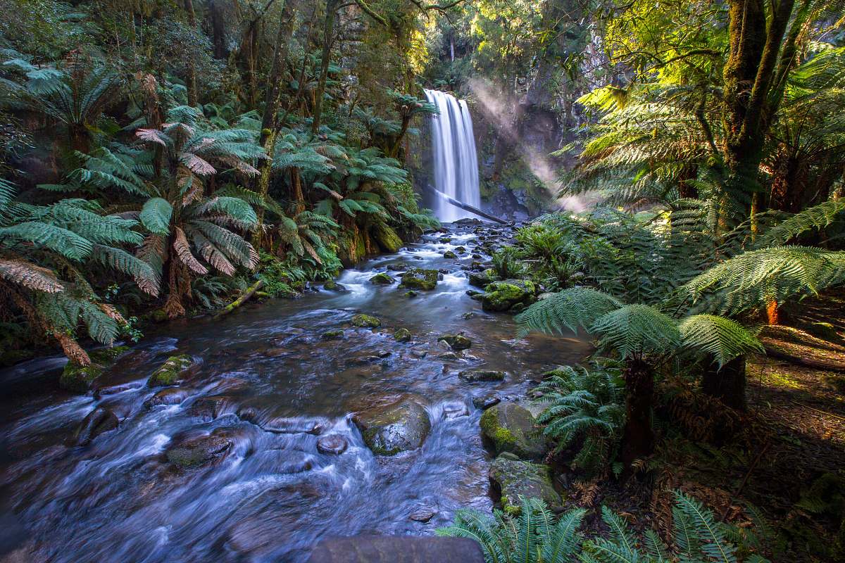 water waterfalls between grass and trees at daytime stream