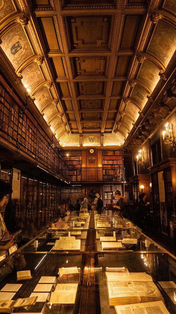 indoors brown library room