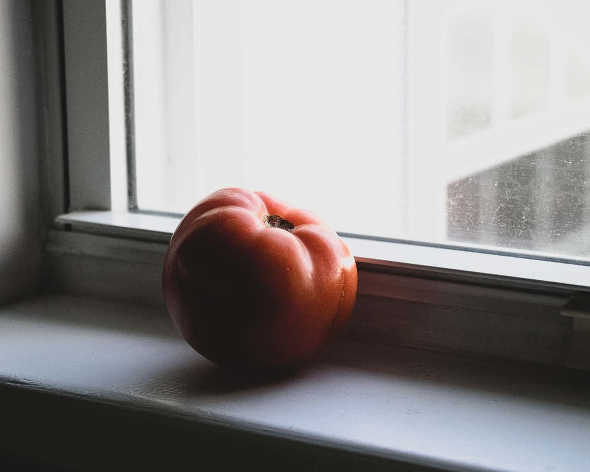 food red tomato fruit