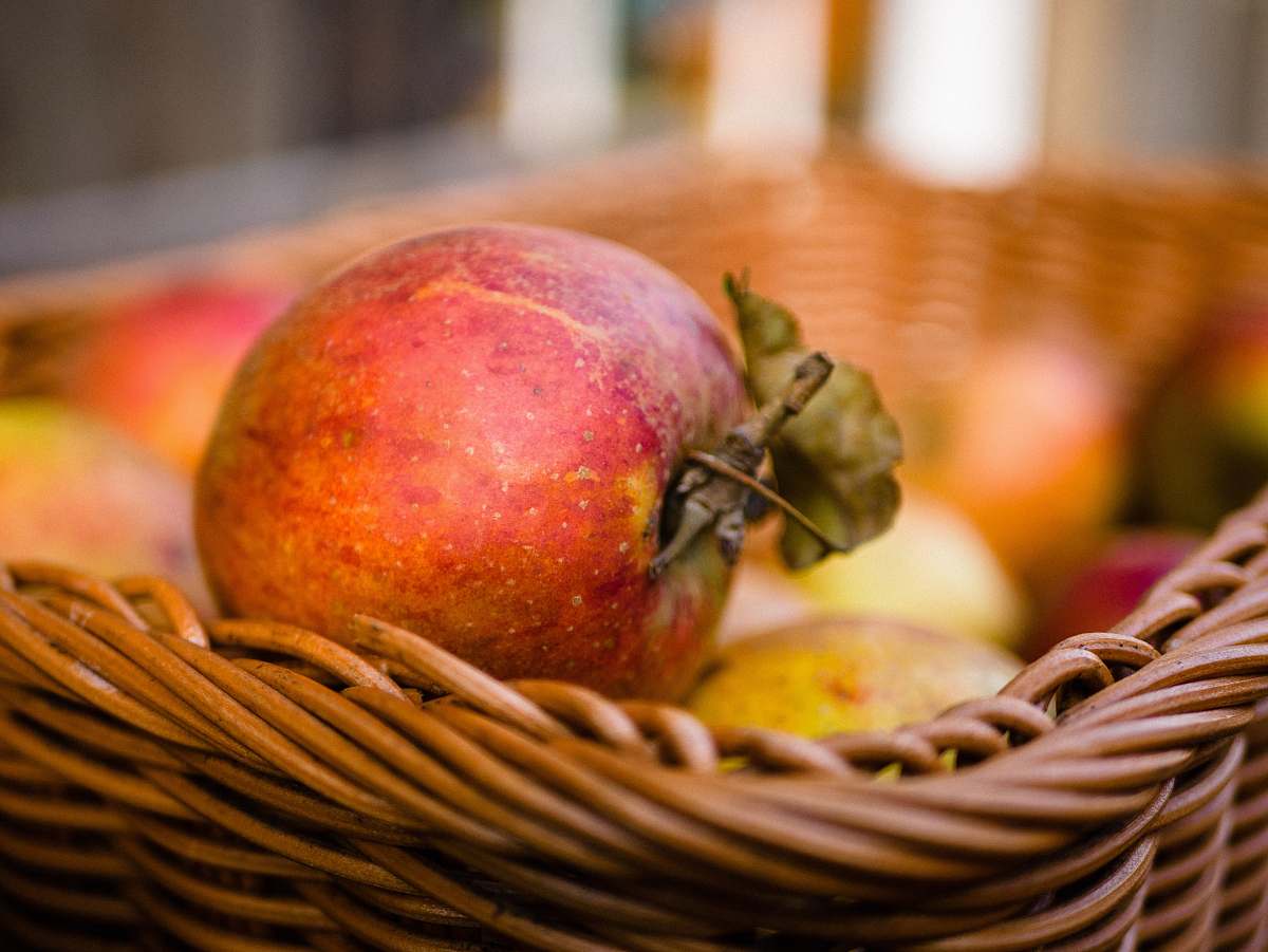 fruit red apple fruit apple