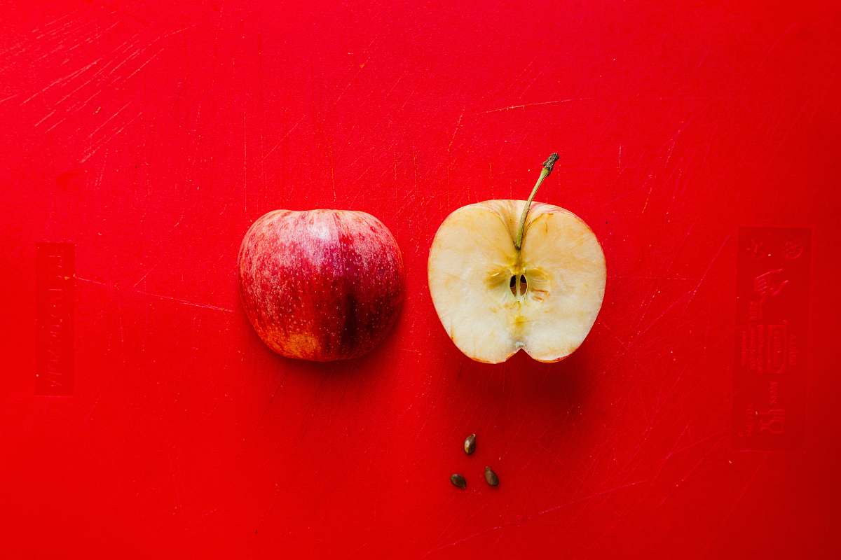 apple sliced apple plant