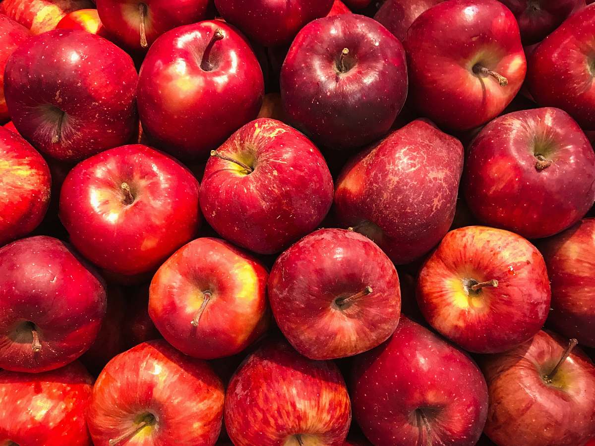 food bunch of red apples plant