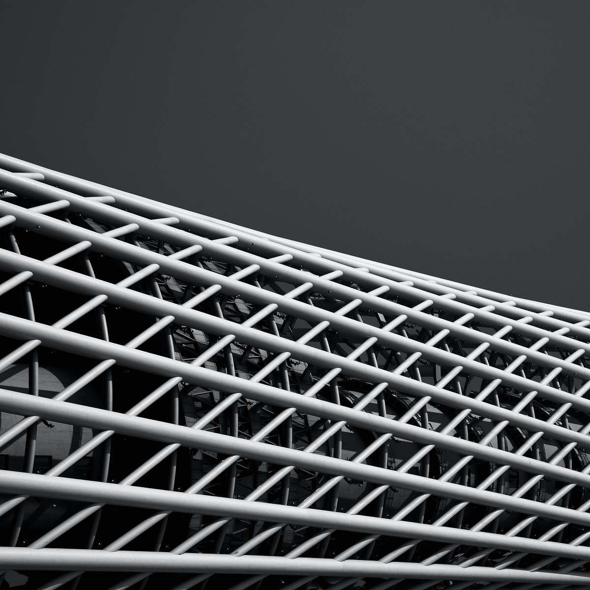black-and-white grayscale photgraphy of fence grille